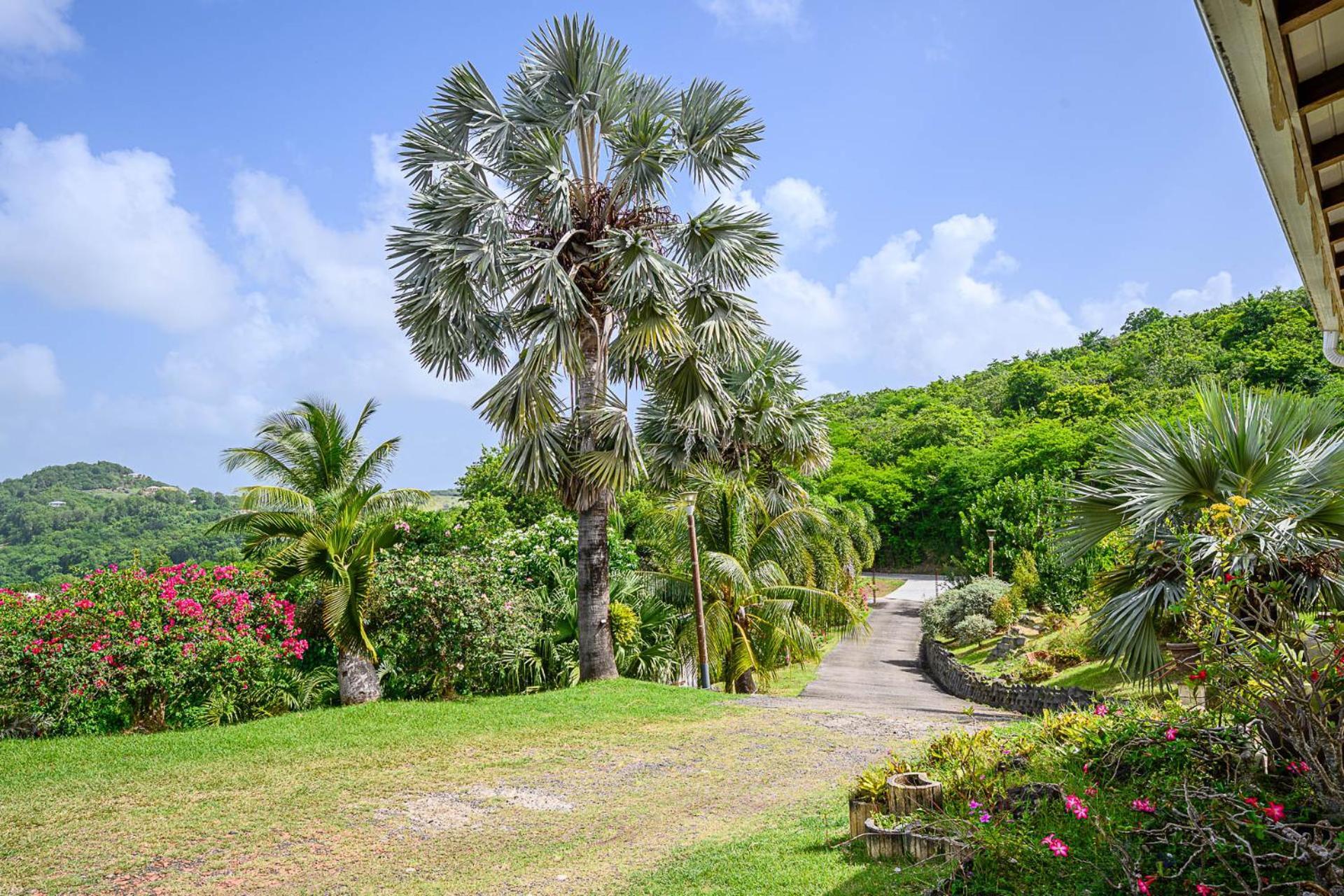 Bed And Breakfast Riviere Le Marin Exterior foto